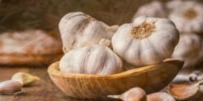 garlic