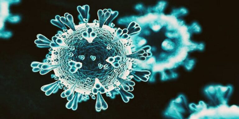 HMPV virus