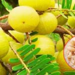 amla candy