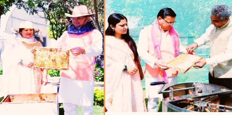 Honey extraction work in Chief Minister's residence complex