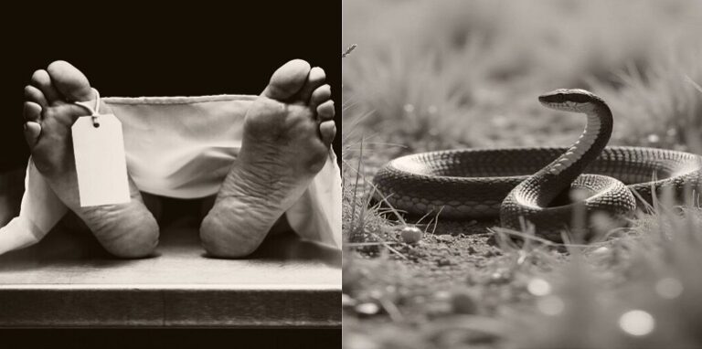 dead body bitten by a snake