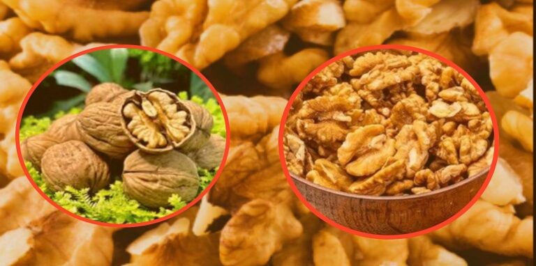 Walnut