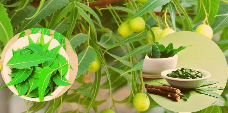 Benefits of Neem