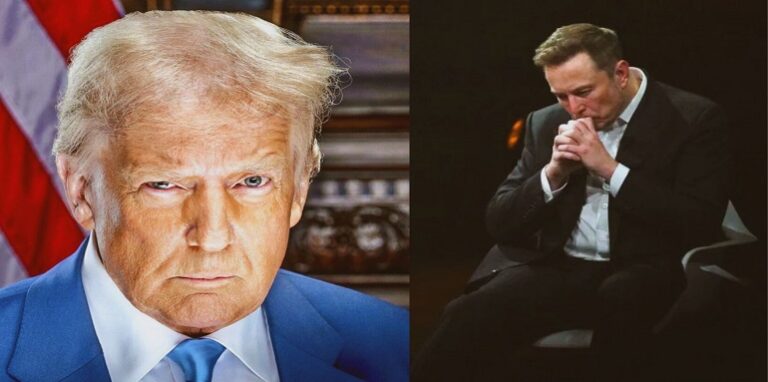 Donald Trump and Elon Musk