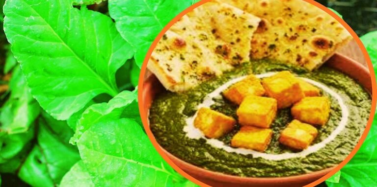 Palak Paneer