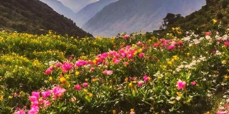 Valley of Flowers