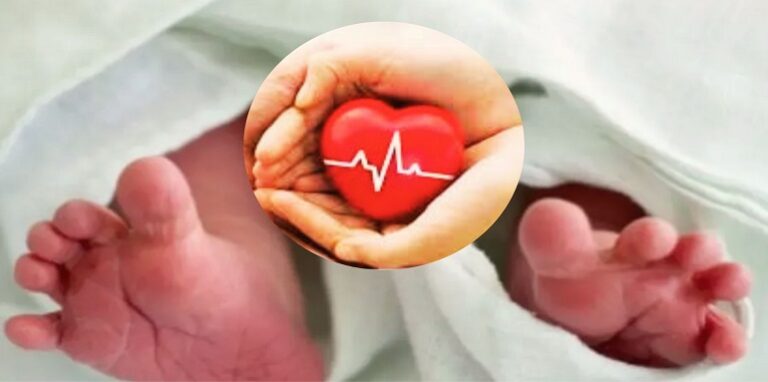 Body Donation