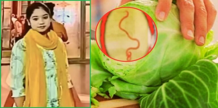 Cabbage worm