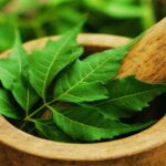 Benefits of Neem
