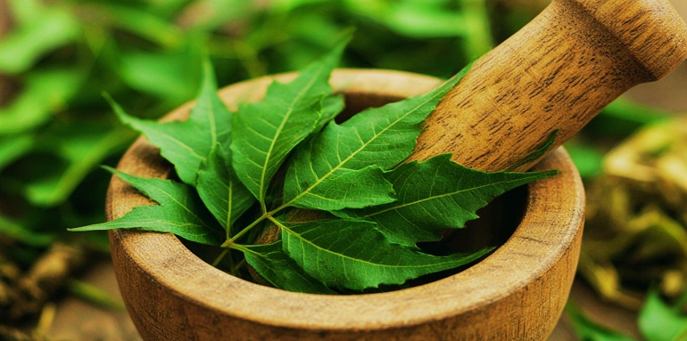 Benefits of Neem