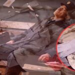 Postman's negligence exposed