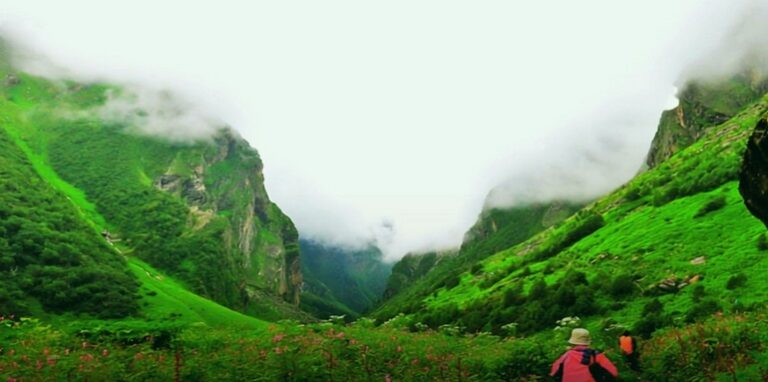Valley of Flowers