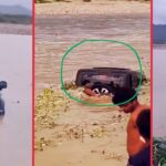 car into the river
