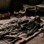 Skeleton