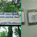 herbal beedi