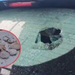 huge hail fell in Haridwar